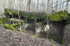 Auf dem Grüneberg finden wir einige alte Bunker