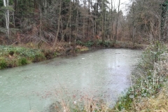 Ein Auffangbecken am Parkbach bei Kasel